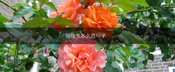 用珠玉怎么造句子,第1张