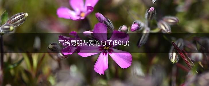 写给男朋友爱的句子(50句),第1张