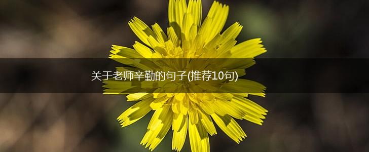 关于老师辛勤的句子(推荐10句),第1张