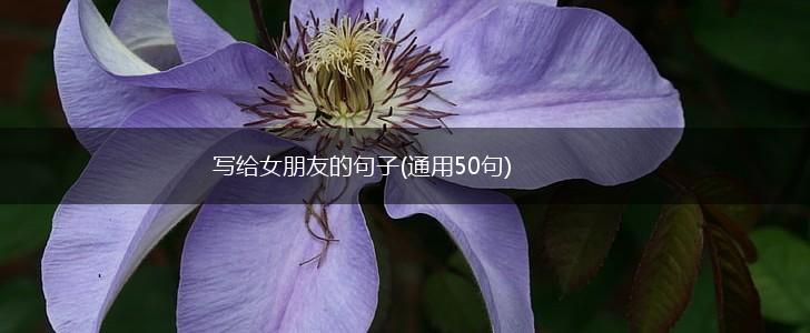写给女朋友的句子(通用50句),第1张