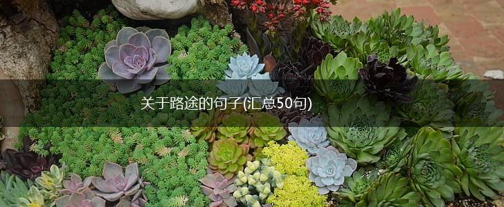 关于路途的句子(汇总50句),第1张