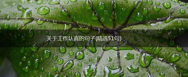 关于工作认真的句子(精选51句),第1张