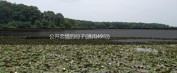 公开恋情的句子(通用49句),第1张