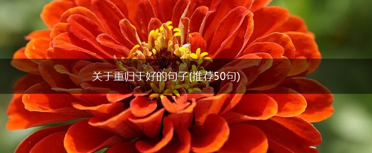关于重归于好的句子(推荐50句),第1张