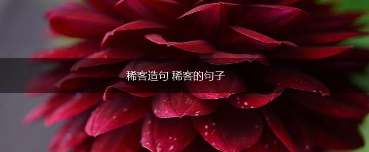 稀客造句 稀客的句子,第1张