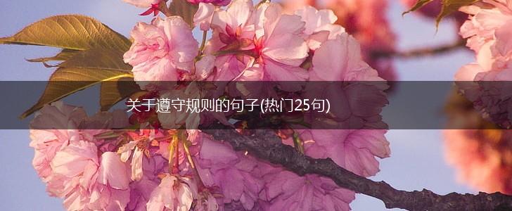 关于遵守规则的句子(热门25句),第1张