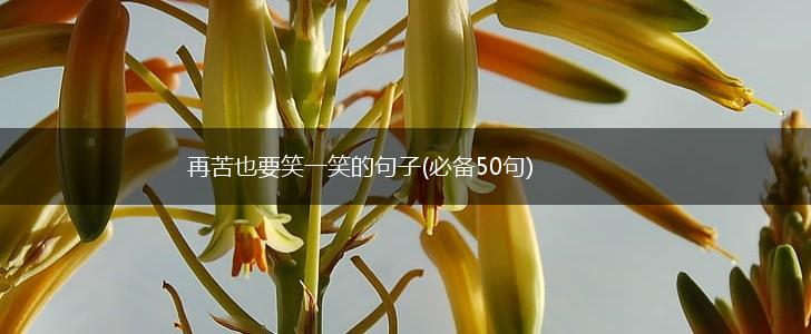 再苦也要笑一笑的句子(必备50句),第1张