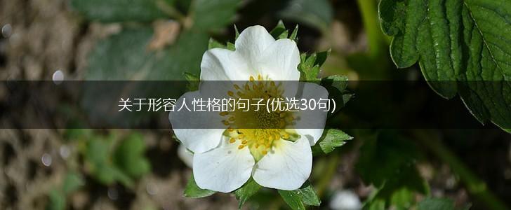 关于形容人性格的句子(优选30句),第1张
