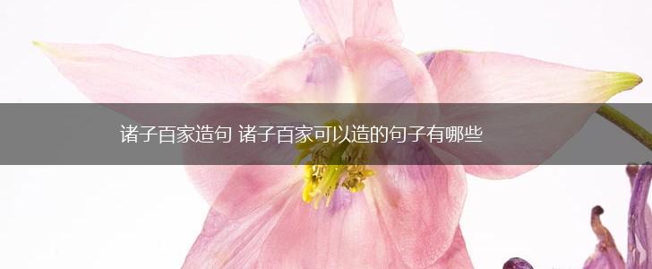 诸子百家造句 诸子百家可以造的句子有哪些,第1张