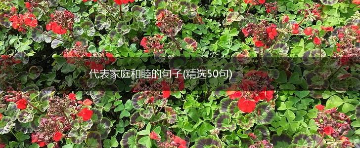 代表家庭和睦的句子(精选50句),第1张