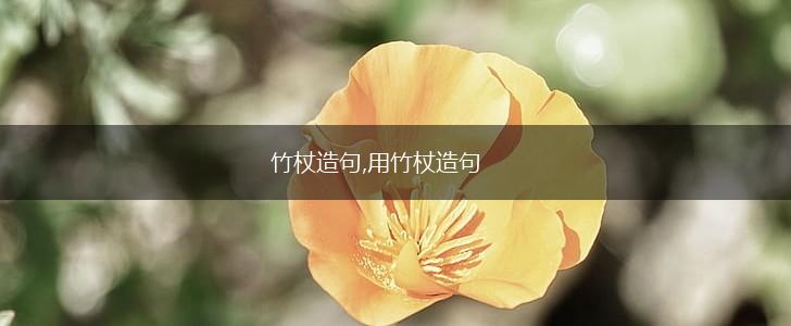 竹杖造句,用竹杖造句,第1张