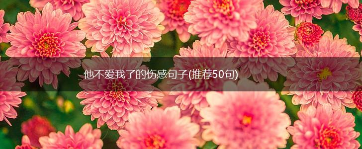 他不爱我了的伤感句子(推荐50句),第1张