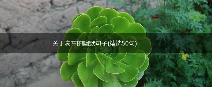 关于豪车的幽默句子(精选50句),第1张