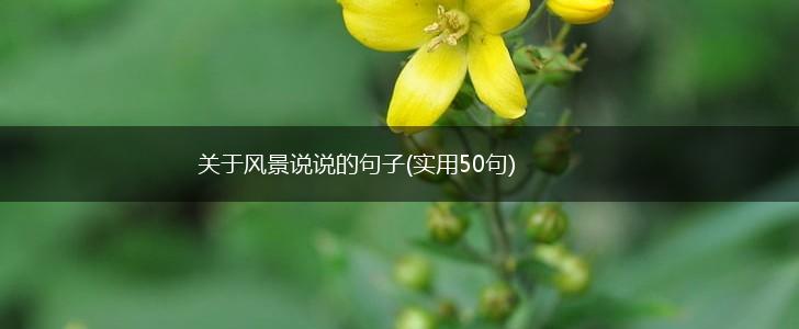 关于风景说说的句子(实用50句),第1张
