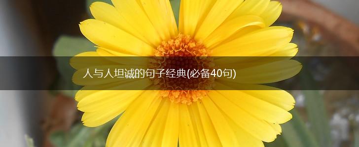 人与人坦诚的句子经典(必备40句),第1张