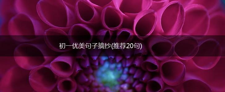初一优美句子摘抄(推荐20句),第1张