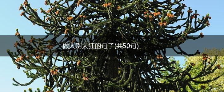 做人别太狂的句子(共50句),第1张