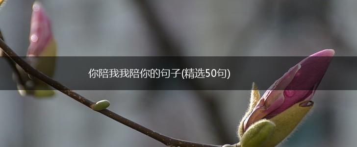 你陪我我陪你的句子(精选50句),第1张