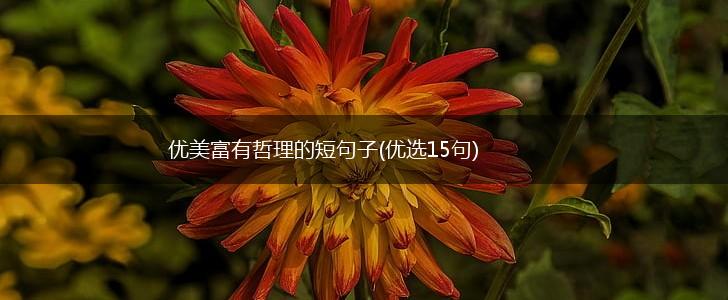 优美富有哲理的短句子(优选15句),第1张