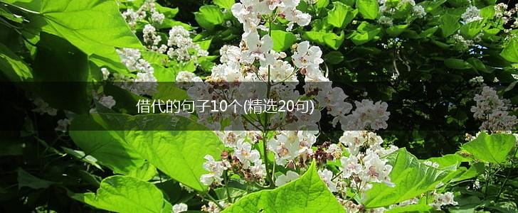 借代的句子10个(精选20句),第1张