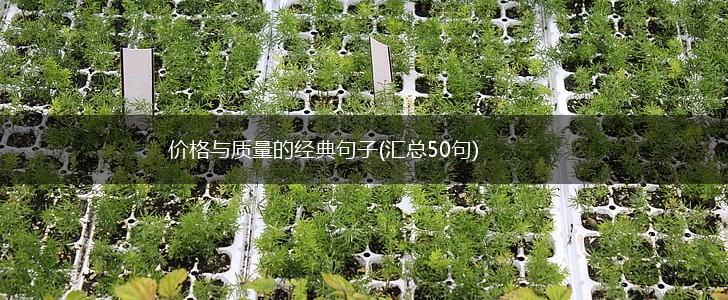 价格与质量的经典句子(汇总50句),第1张