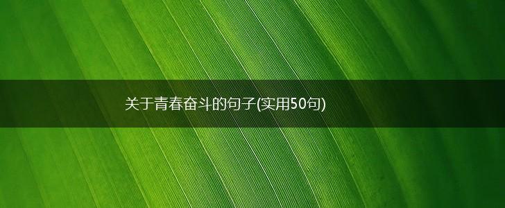关于青春奋斗的句子(实用50句),第1张