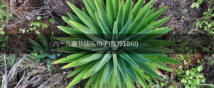 六一儿童节快乐句子(推荐10句),第1张