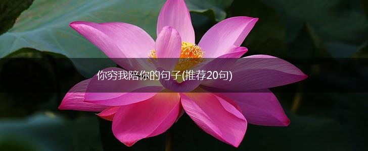 你穷我陪你的句子(推荐20句),第1张