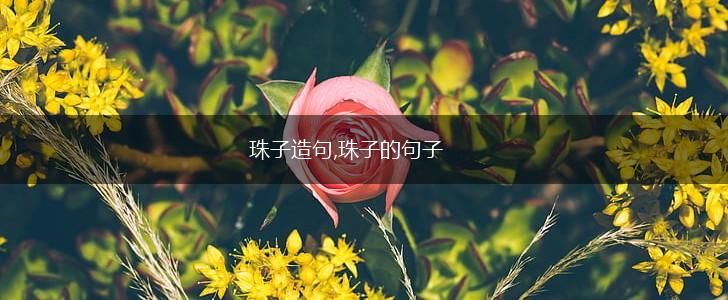 珠子造句,珠子的句子,第1张