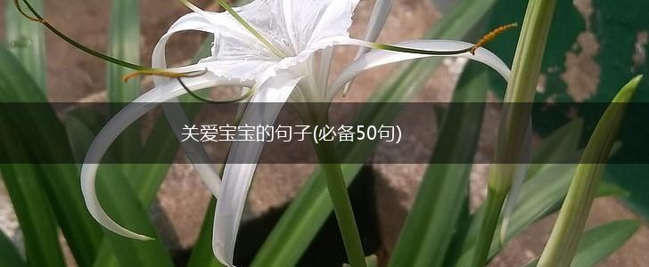 关爱宝宝的句子(必备50句),第1张