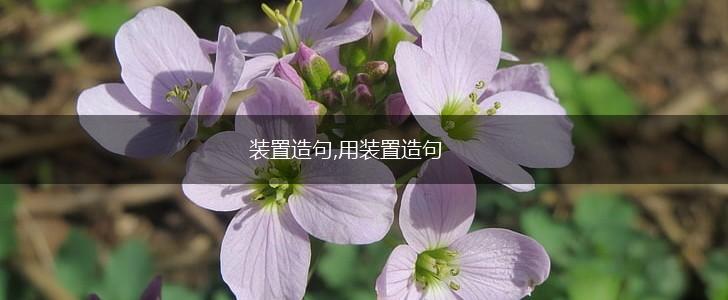 装置造句,用装置造句,第1张