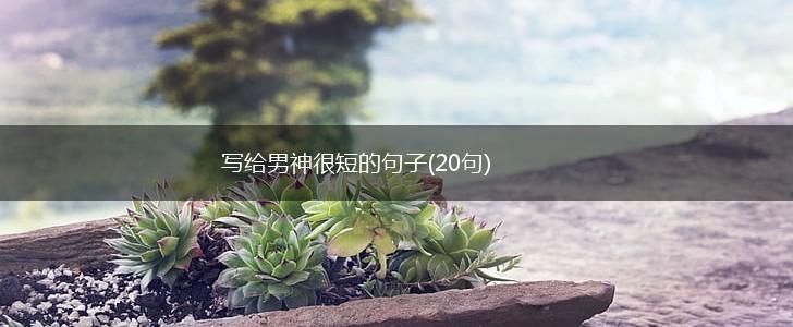写给男神很短的句子(20句),第1张