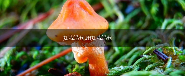 知我造句,用知我造句,第1张