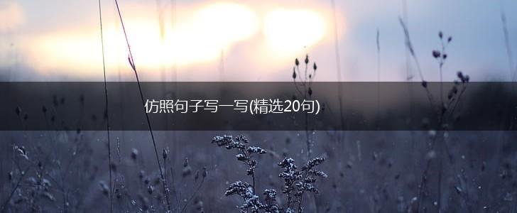 仿照句子写一写(精选20句),第1张