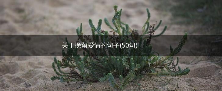 关于挽留爱情的句子(50句),第1张