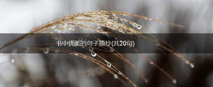 书中优美的句子摘抄(共20句),第1张