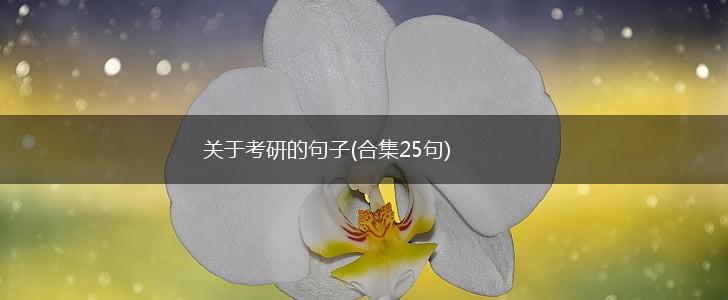 关于考研的句子(合集25句),第1张