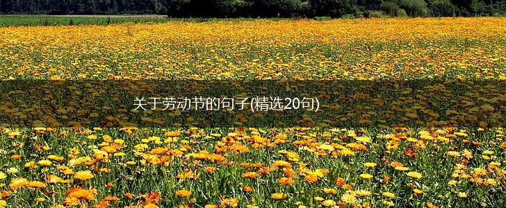 关于劳动节的句子(精选20句),第1张
