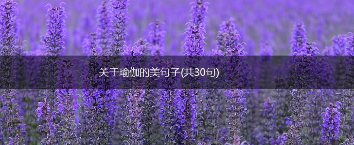 关于瑜伽的美句子(共30句),第1张
