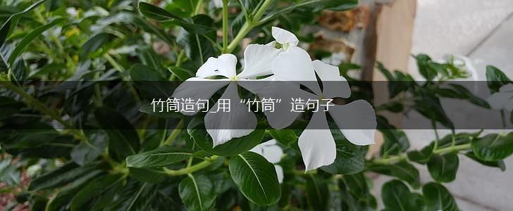 竹筒造句_用“竹筒”造句子,第1张