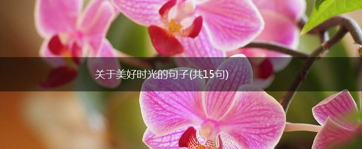 关于美好时光的句子(共15句),第1张