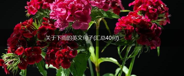 关于下雨的英文句子(汇总40句),第1张
