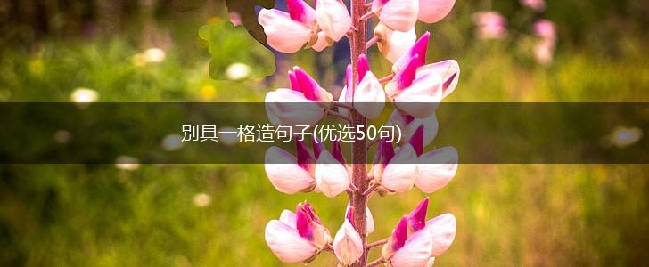 别具一格造句子(优选50句),第1张