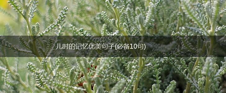 儿时的记忆优美句子(必备10句),第1张