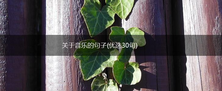 关于音乐的句子(优选30句),第1张
