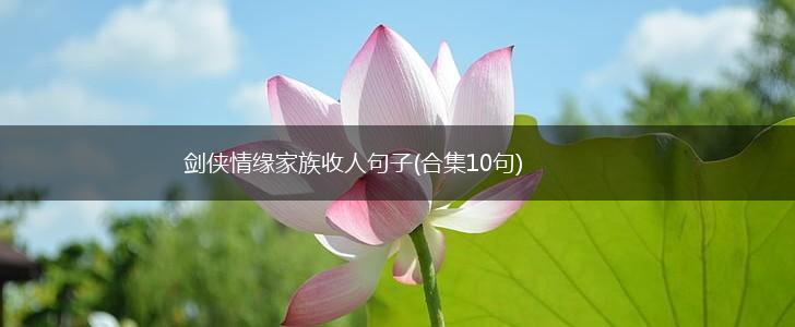 剑侠情缘家族收人句子(合集10句),第1张