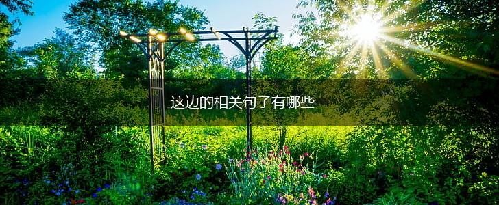 这边的相关句子有哪些,第1张