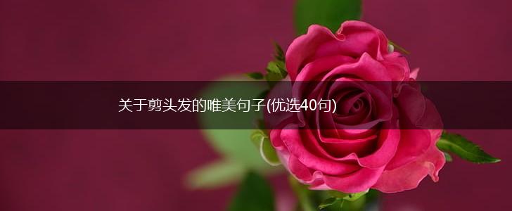 关于剪头发的唯美句子(优选40句),第1张