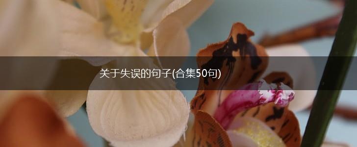 关于失误的句子(合集50句),第1张