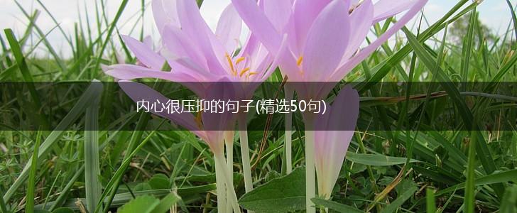 内心很压抑的句子(精选50句),第1张